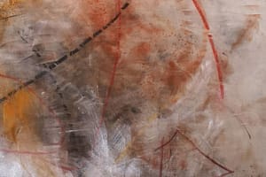 tristan starowicz performance